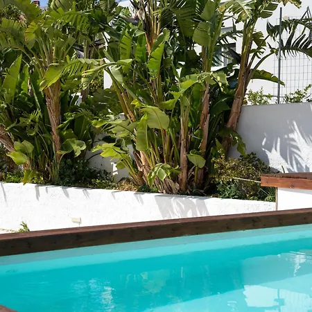 Apollonas & Sibylla - Luxury With Pool 别墅