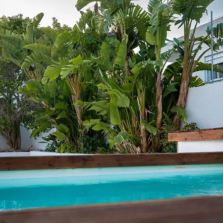 Apollonas & Sibylla - Luxury With Pool 别墅 Chorio (Kalymnos)