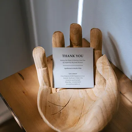 Apollonas & Sibylla - Luxury With Pool Villa