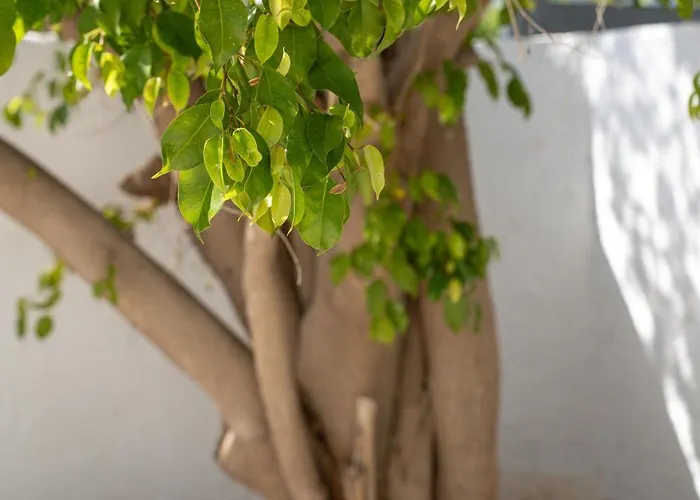 Villa Apollonas & Sibylla - Luxury With Pool